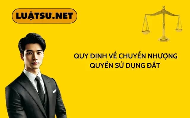 quy-dinh-ve-chuyen-nhuong-quyen-su-dung-dat
