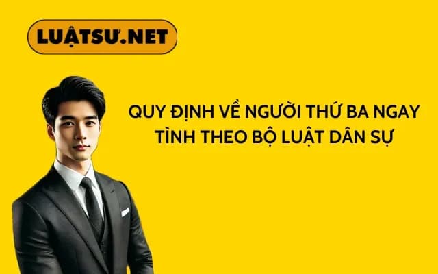 quy-dinh-ve-nguoi-thu-ba-ngay-tinh-the-blds-2015