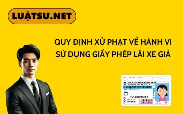 quy-dinh-xu-phat-ve-hanh-vi-su-dung-giay-phep-lai-xe-gia