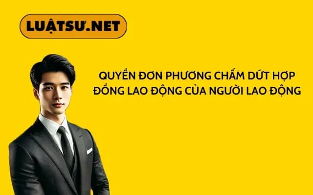 quyen-don-phuong-cham-dut-hop-dong-cua-nld_11zon