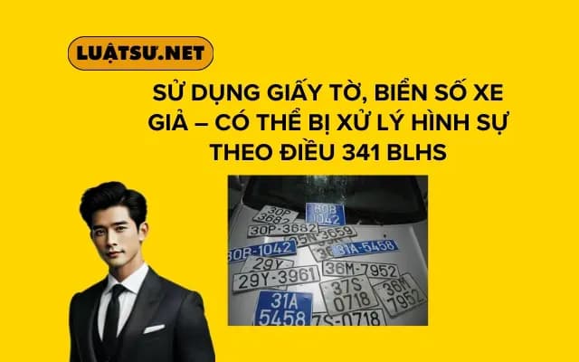 su-dung-giay-to-bien-so-xe-gia-co-the-bi-xu-ly-hinh-su-theo-dieu-341-blhs
