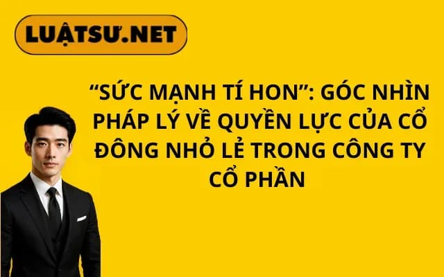 suc-manh-ti-hon-goc-nhin-phap-ly-ve-quyen-luc-cua-co-dong-nho-le-trong-cong-ty-co-phan