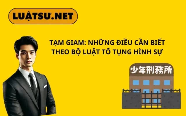 tam-giam-nhung-dieu-can-biet-theo-bltths