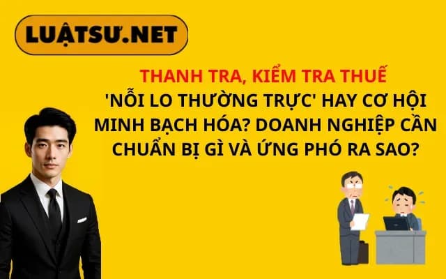 thanh-tra-kiem-tra-thue-noi-lo-thuong-truc-hay-co-hoi-minh-bach-hoa-doanh-nghiep-can-chuan-bi-gi-va-ung-pho-ra-sao