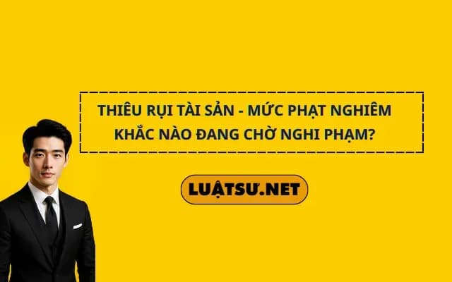thieu-rui-tai-san-muc-phat-nghiem-khac-nao-dang-cho-nghi-pham