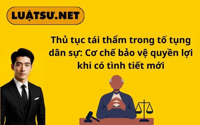 thu-tuc-tai-tham-trong-to-tung-dan-su-co-che-bao-ve-quyen-loi-khi-co-tinh-tiet-moi