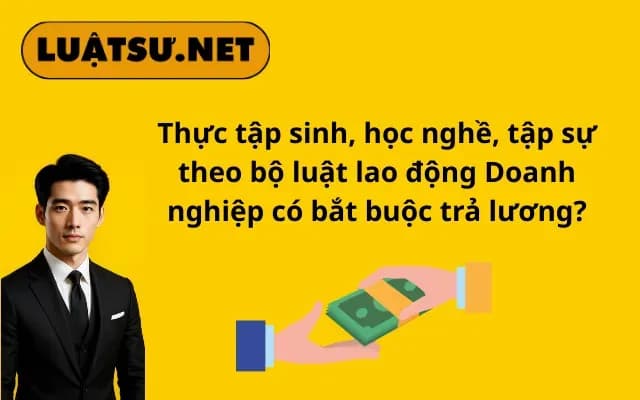 thuc-tap-sinh-hoc-nghe-tap-su-theo-bo-luat-lao-dong-doanh-nghiep-co-bat-buoc-tra-luong