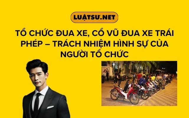 to-chuc-dua-xe-co-vu-dua-xe-trai-phep-trach-nhiem-hinh-su-cua-nguoi-to-chuc