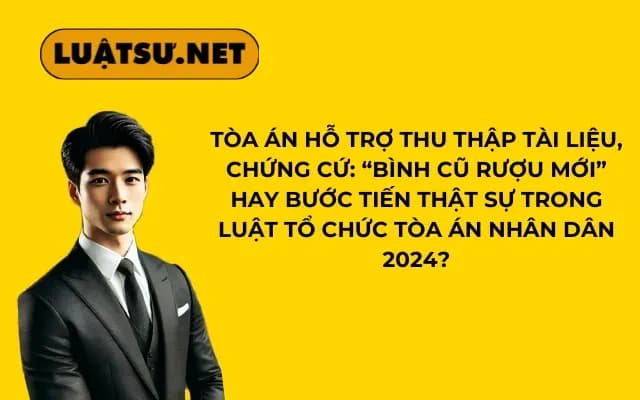 toa-an-ho-tro-thu-thap-tai-lieu-chung-cu-binh-cu-ruou-moi-hay-buoc-tien-that-su-trong-luat-to-chuc-toa-an-nhan-dan-2024