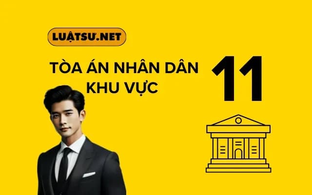 toa-an-nhan-dan-khu-vuc-11-nop-ho-so-o-dau-tu-ngay-01-7-2025