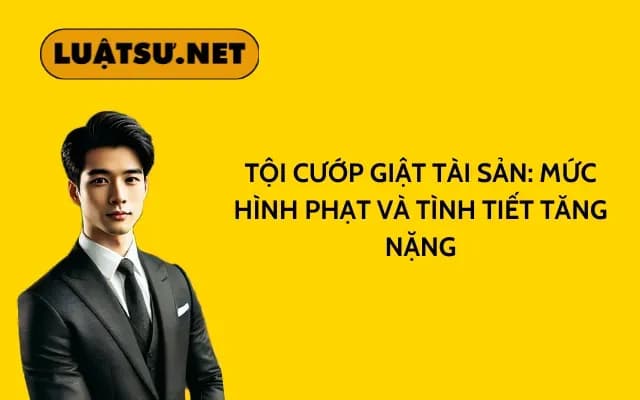 toi-cuop-giat-tai-san-muc-hinh-phat-va-tinh-tiet-tang-nang
