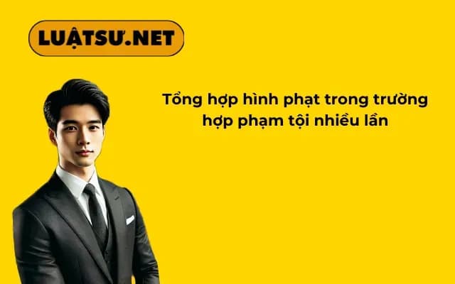tong-hop-hinh-phat-trong-truong-hop-pham-toi-nhieu-lan