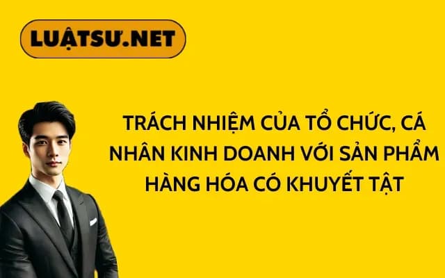 trach-nhiem-cua-to-chuc-ca-nhan-kinh-doanh-voi-san-pham-hang-hoa-co-khuyet-tat