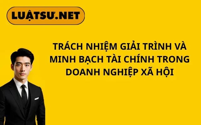 trach-nhiem-giai-trinh-va-minh-bach-tai-chinh-trong-doanh-nghiep-xa-hoi_11zon (1)