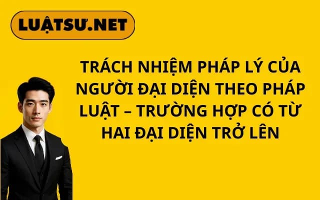 trach-nhiem-phap-ly-cua-nguoi-dai-dien-theo-phap-luat-truong-hop-co-tu-hai-dai-dien-tro-len