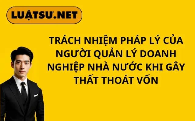 trach-nhiem-phap-ly-cua-nguoi-quan-ly-doanh-nghiep-nha-nuoc-khi-gay-that-thoat-von