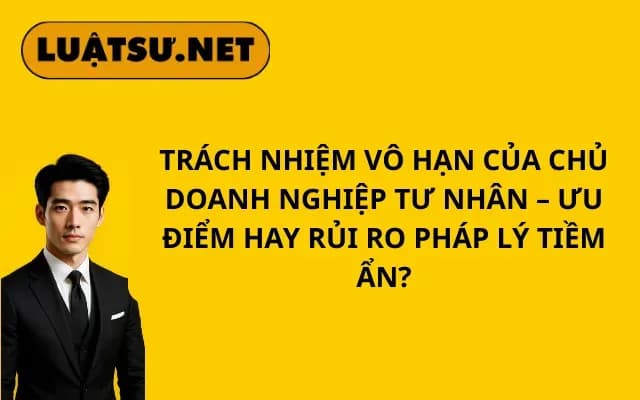 trach-nhiem-vo-han-cua-chu-doanh-nghiep-tu-nhan-uu-diem-hay-rui-ro-phap-ly-tiem-an