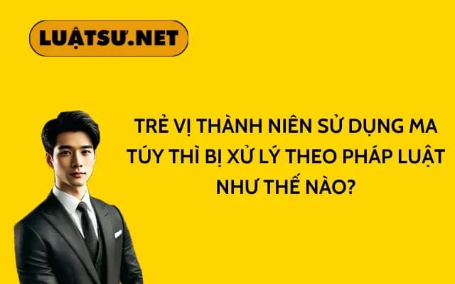 tre-vi-thanh-nien-su-dung-ma-tuy-thi-bi-xu-ly-theo-phap-luat-nhu-the-nao (2)