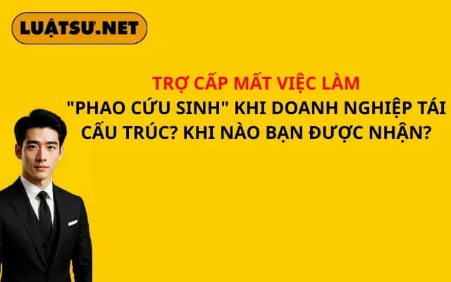 tro-cap-mat-viec-lam-phao-cuu-sinh-khi-doanh-nghiep-tai-cau-truc-khi-nao-ban-duoc-nhan