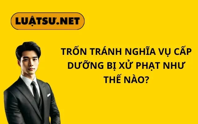 tron-tranh-nghia-vu-cap-duong-bi-xu-phat-nhu-the-nao
