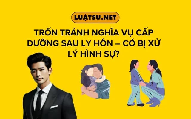tron-tranh-nghia-vu-cap-duong-sau-ly-hon-co-bi-xu-ly-hinh-su