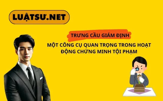 trung-cau-giam-dinh-mot-cong-cu-quan-trong-trong-hoat-dong-chung-minh-toi-pham