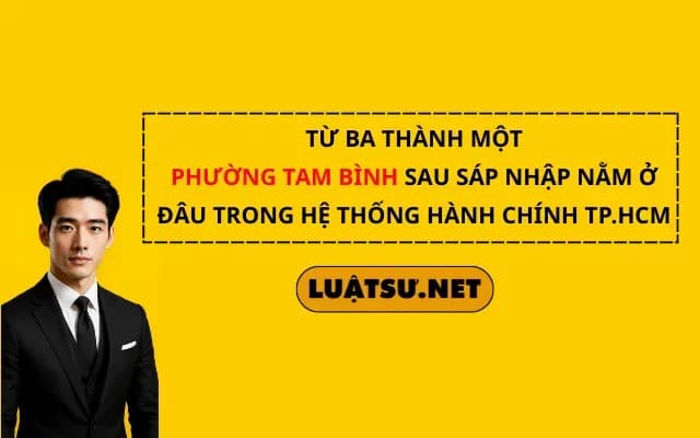 tu-ba-thanh-mot-phuong-tam-binh-sau-sap-nhap-nam-o-dau-trong-he-thong-hanh-chinh-tp-hcm