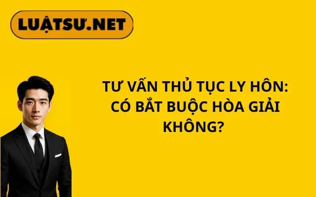 tu-van-thu-tuc-ly-hon-co-bat-buoc-hoa-giai-khong