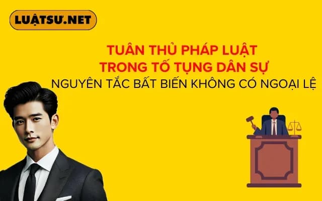 tuan-thu-phap-luat-trong-to-tung-dan-su-nguyen-tac-bat-bien-khong-co-ngoai-le