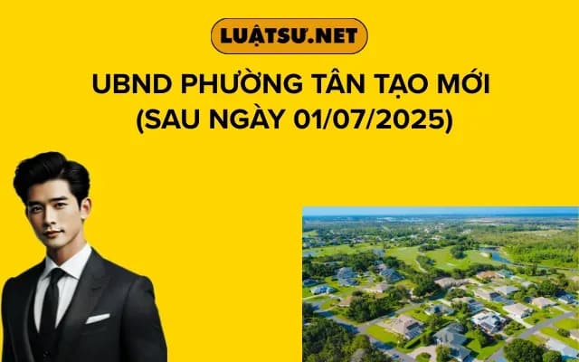 ubnd-phuong-tan-tao-moi-sau-ngay-01-07-2025