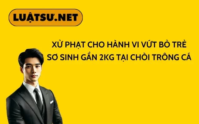 xu-phat-cho-hanh-vi-vut-bo-be-so-sinh-nang-gan-2-kg-tai-choi-trong-ca