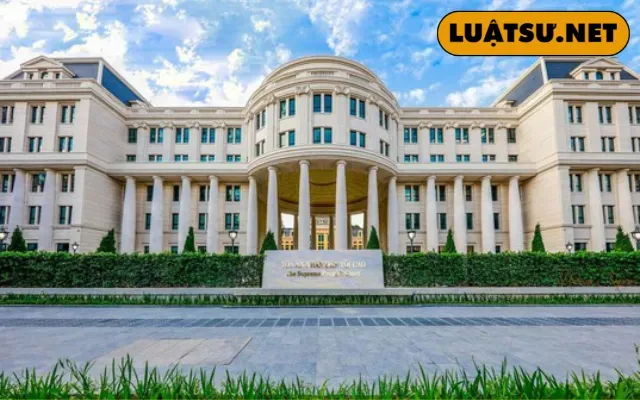 Bìa bài viết – NS12020225