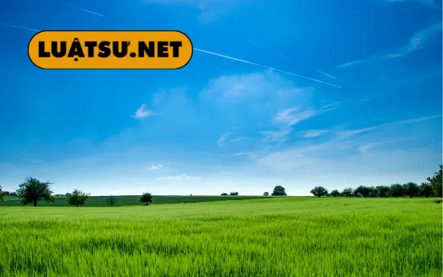 ĐẤT ĐAI