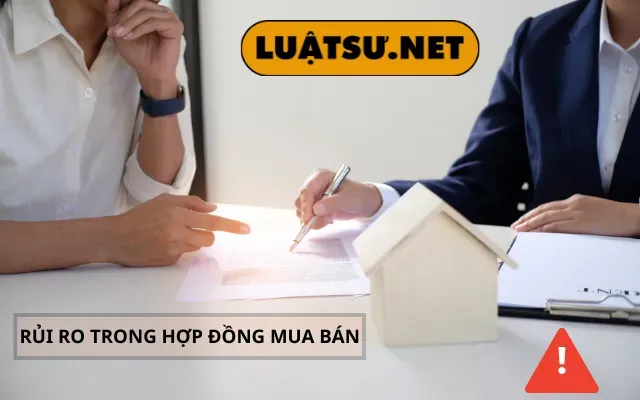 Rui ro trong hop dong mua ban