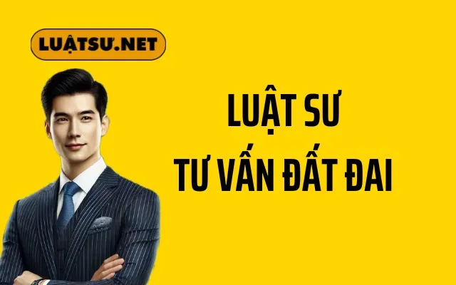 Luật sư tư vấn đất đai chuyên sâu và tận tâm tại Việt Nam