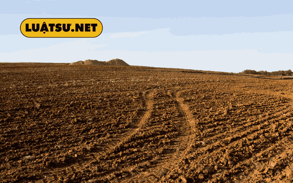 Ai được miễn lệ phí trước bạ nhà đất? Hướng dẫn chi tiết